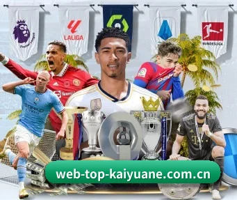 web-top-kaiyuane.com.cn APP